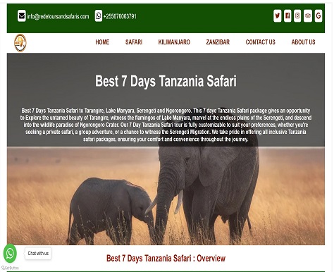 Best Website Developer in Zanzibar